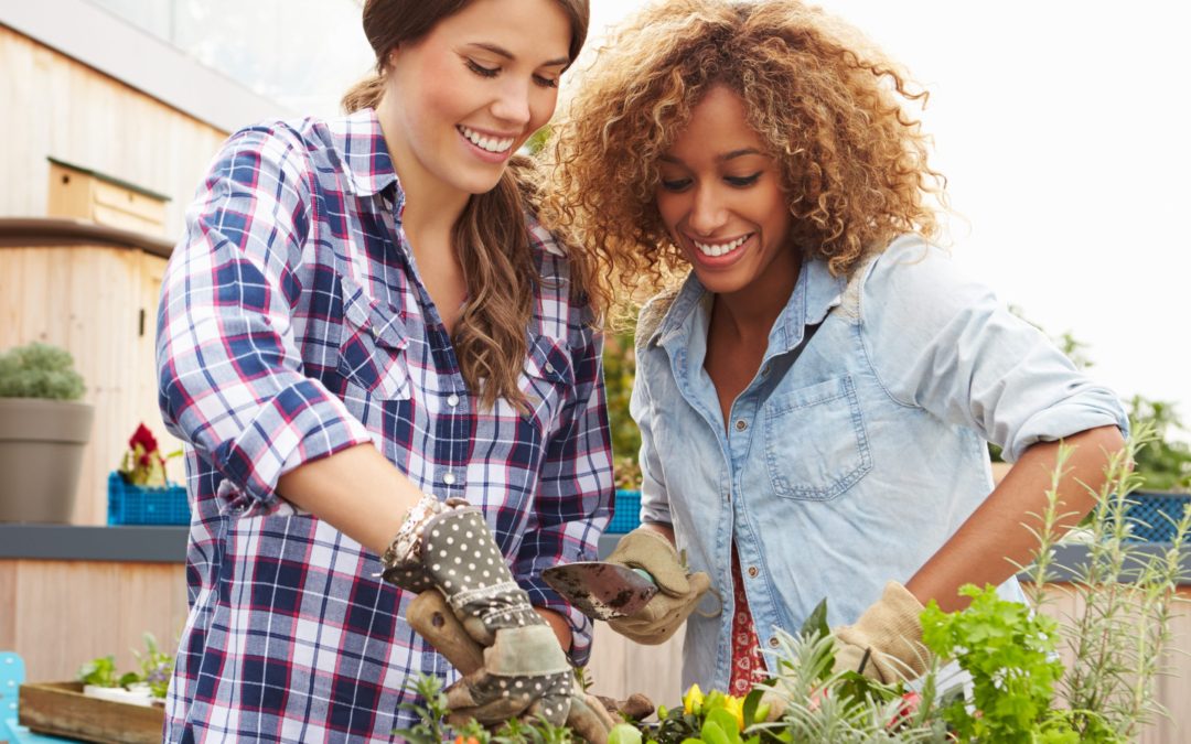 5 Ways in Which Gardening  Helps Reduce Stress